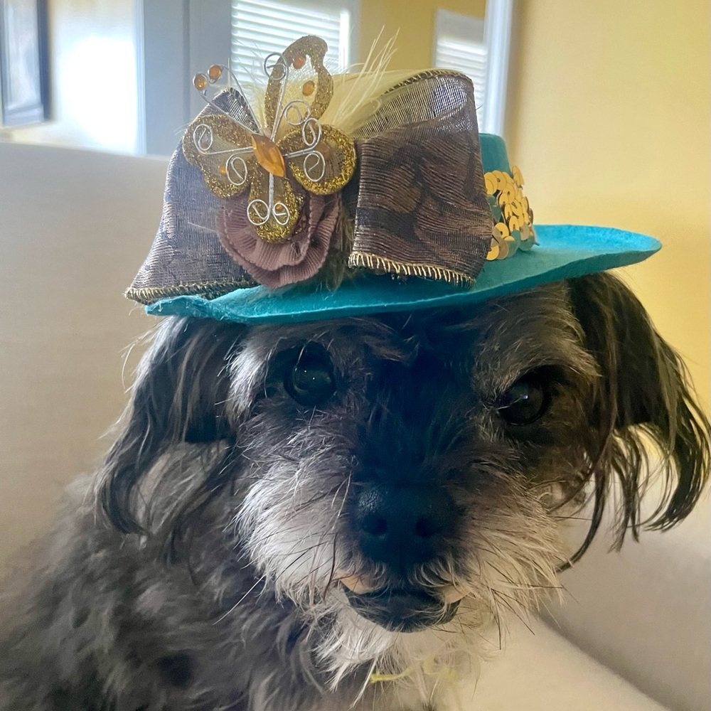 Fancy Pet Hat Handmade